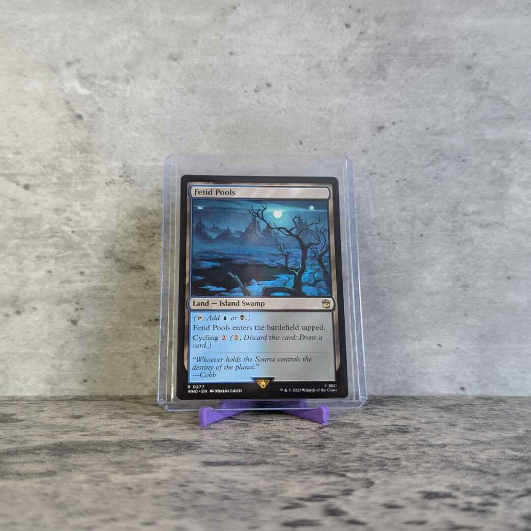 Fetid Pools - MTG | Near Mint