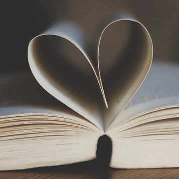 Fun Flies - Books